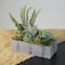 11.75" Mixed Succulent Plants in Rectangular Planter